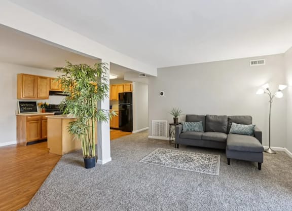 A living room with a grey couch and a grey rug.