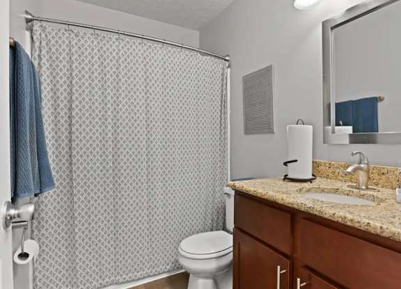 A bathroom with a toilet, sink, and shower curtain.
