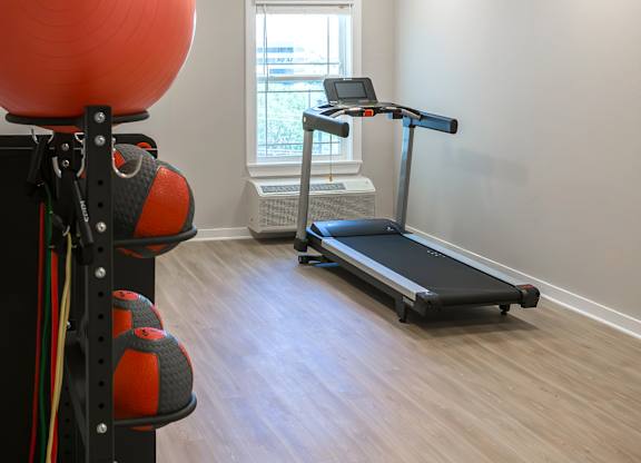 A room with a treadmill, exercise balls and weights.