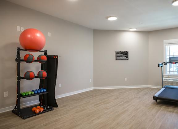 A room with a treadmill and a rack of exercise balls.