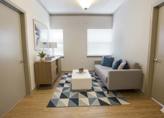 A living room with a couch, a coffee table, and a rug.