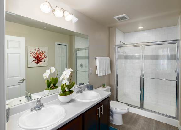 A bathroom with a white sink and a glass shower stall.