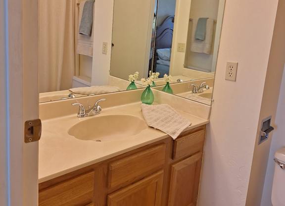 A bathroom with a sink, mirror, and toilet.
