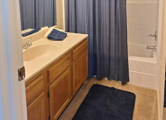 A bathroom with a sink, mirror, and shower.