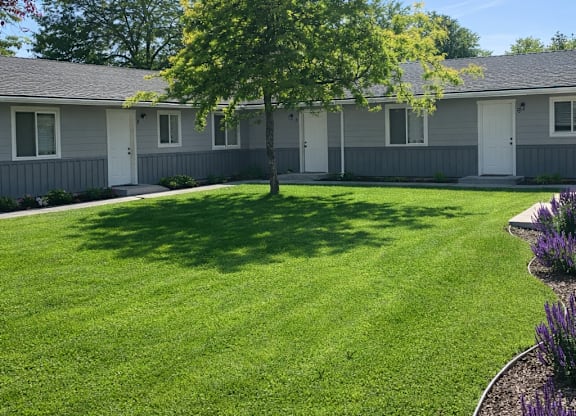 A tree in a grassy area in front of a building.
