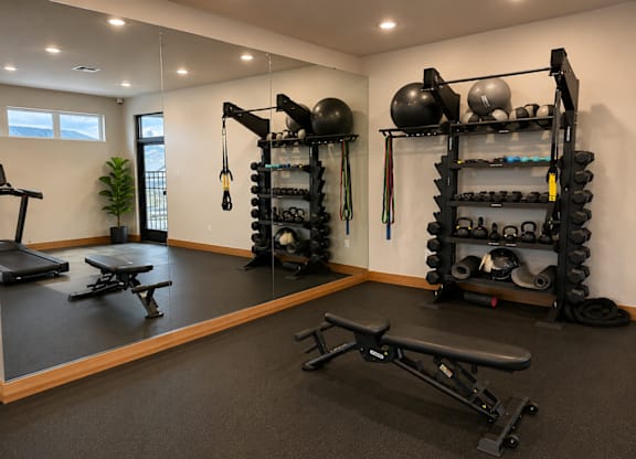 A home gym with a bench, weights, and exercise equipment.