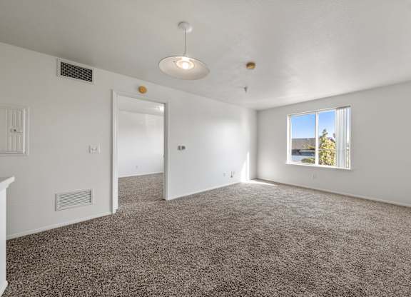A spacious room with a carpeted floor and a window showing a view of the outdoors.