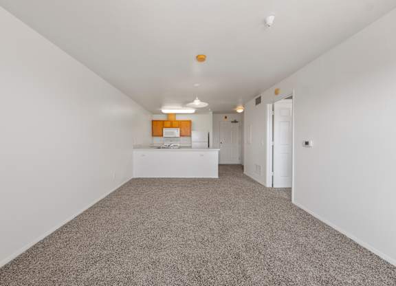 A room with a grey carpet and white walls.
