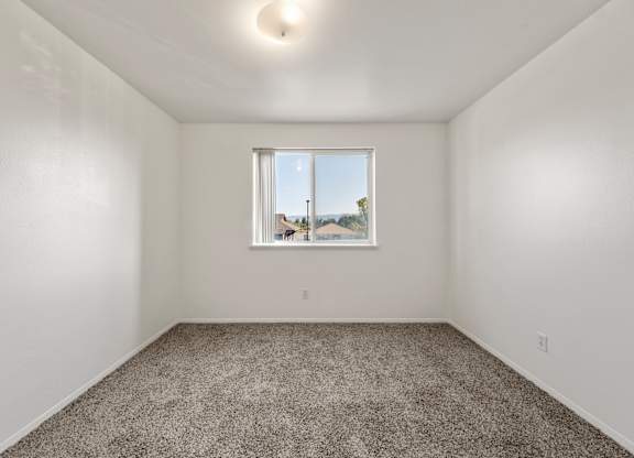A room with a window and a carpeted floor.