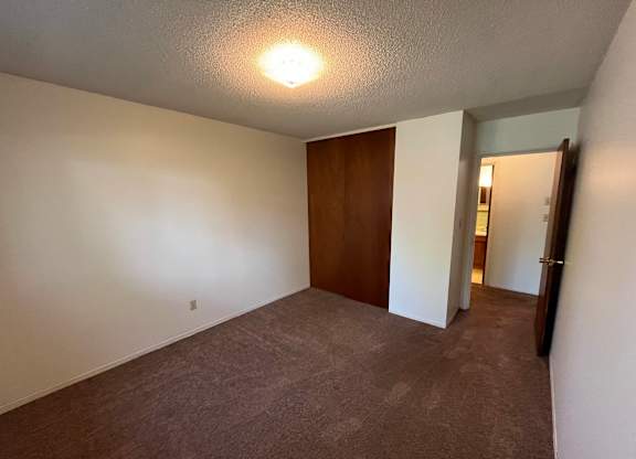 A room with a brown door and carpeted floor.