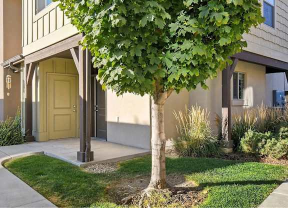 A tree in front of a house with a yellow door.