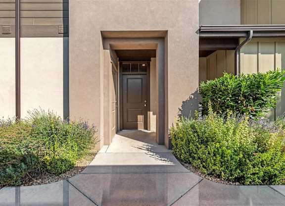 A modern house entrance with a concrete pathway and a black door.