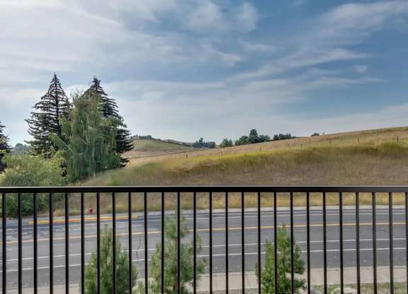 A road with a metal fence in front of a tree and a grassy field.