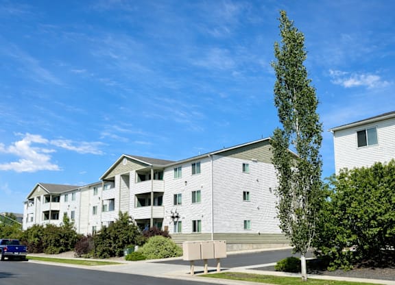 A large white building with a tree in front of it.