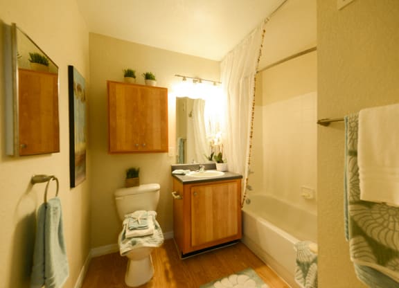 Addison Landing Model Bathroom