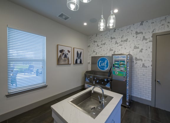 Pet wash station with blue cabinetry at Ciel Luxury Apartments, Jacksonville, 32246