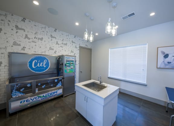 Pet grooming station with stainless steel sink at Ciel Luxury Apartments, Jacksonville