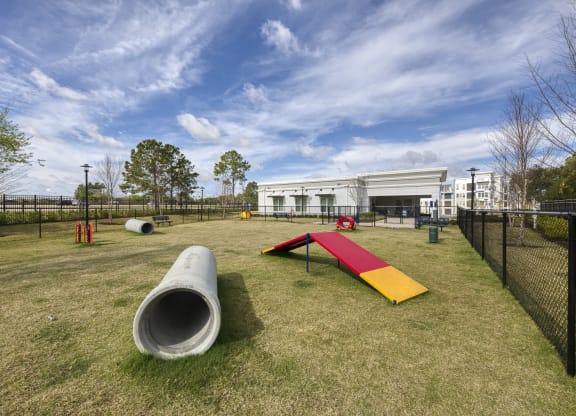 Dog park with agility equipment and tunnels at Ciel Luxury Apartments, Florida, 32246