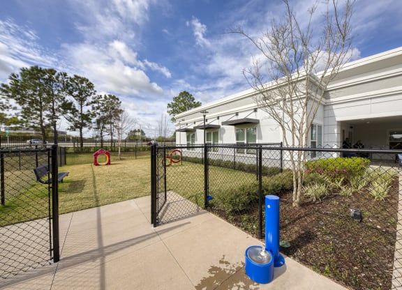 Fenced dog park with blue water fountain at Ciel Luxury Apartments, Florida, 32246