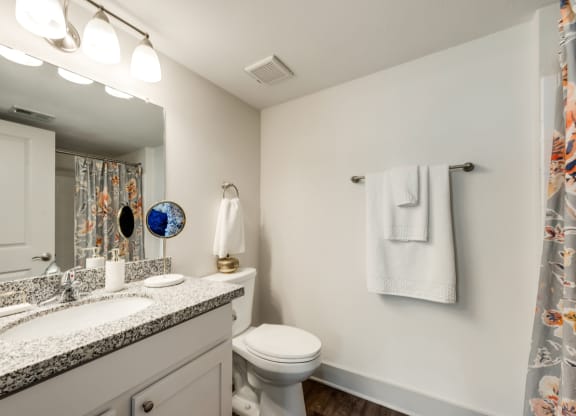 Bahia Cove Apartments Model Bathroom
