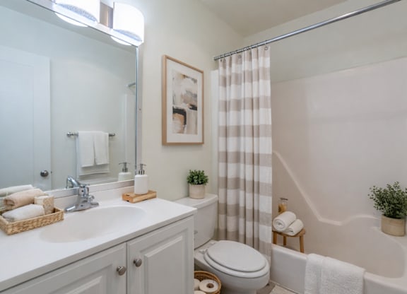 A bathroom with a toilet, sink, and shower.