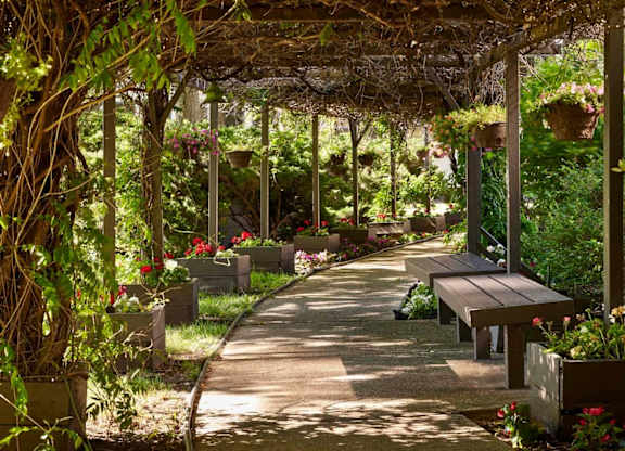 A walkway with benches and a trellis with hanging plants.