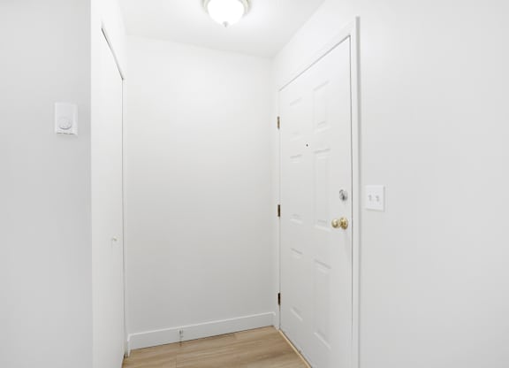 A white door with a gold handle is in a white room.