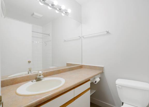 A white toilet sits next to a sink in a bathroom.