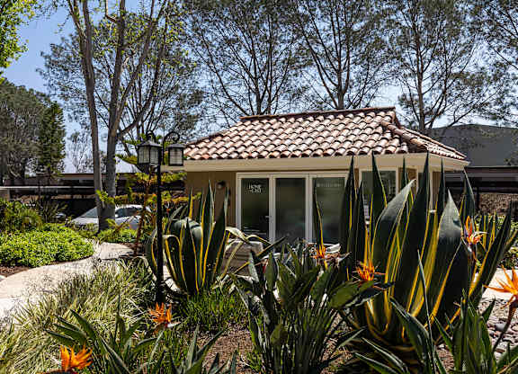 A gazebo surrounded by green plants and trees.