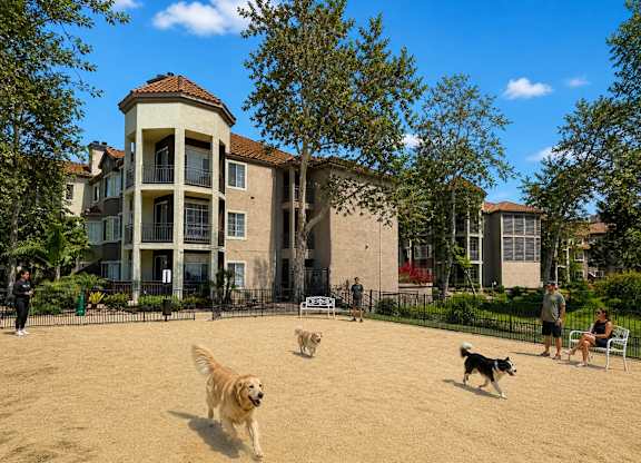 A dog is running in the sand in front of a building.