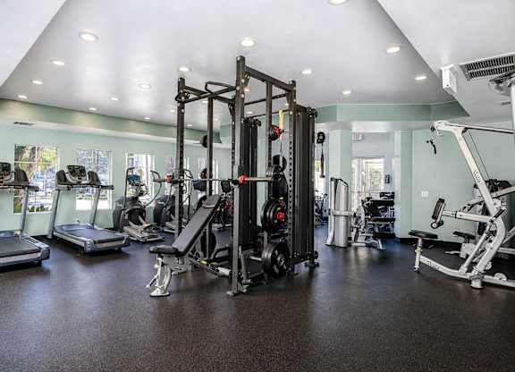 A gym with a variety of equipment including treadmills, weights, and a bench press.