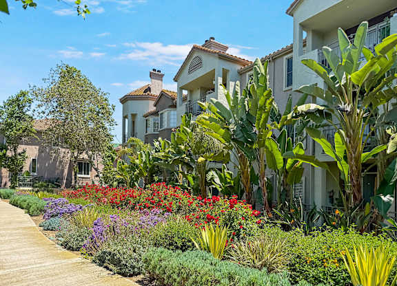 A garden with a variety of plants and flowers in front of a building.