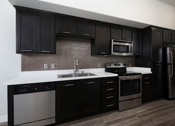 A modern kitchen with black cabinets and stainless steel appliances.