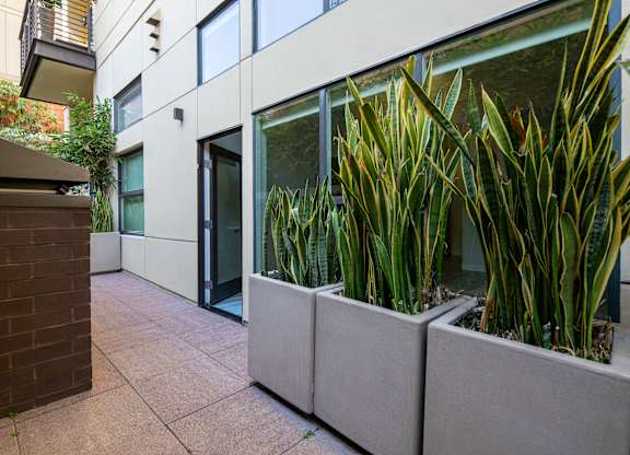 A modern building with a glass door and a planter box with plants.