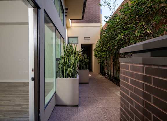 A modern house with a glass door and a potted plant.
