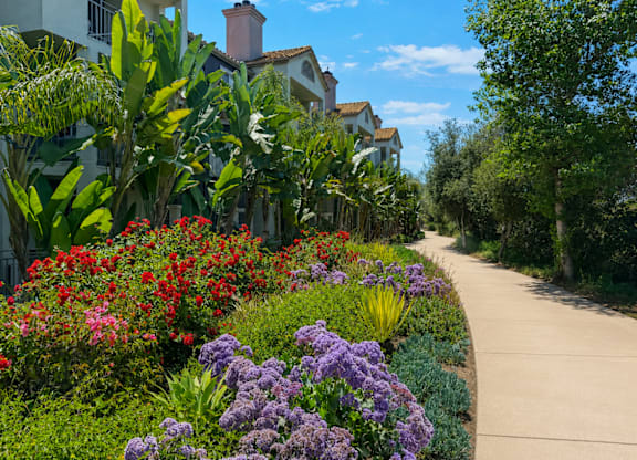 Garden pathway with flowering plants and tropical foliage at River Front Apartments, California, 92108