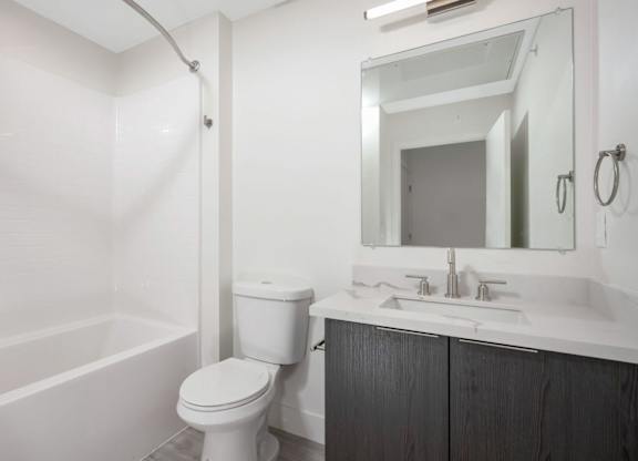 Bathroom with dark vanity
