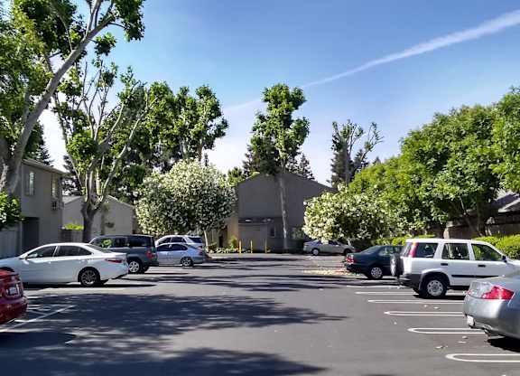 Colonial Farms Apartments - view of parking lot with apartment buildings in the background