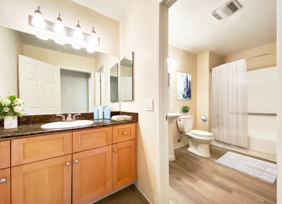 a bathroom with a sink and a toilet  at Pleasanton Place, Pleasanton, CA, 94566