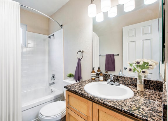 a bathroom with a sink and a shower and a toilet  at Pleasanton Place, California, 94566