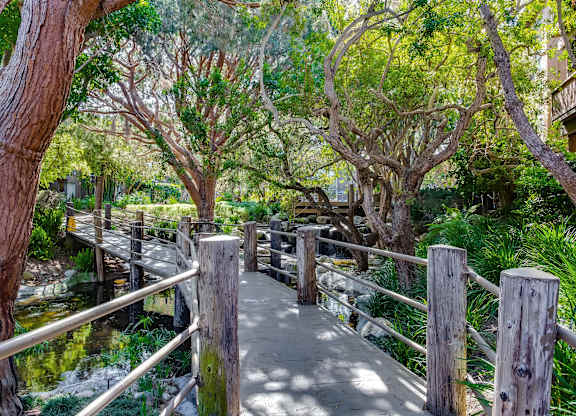 A wooden walkway with railings goes through a tree-filled area at Mariners Village, Marina del Rey, 90292