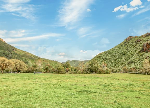 Green Landscape  at Mission Hills, Camarillo, CA