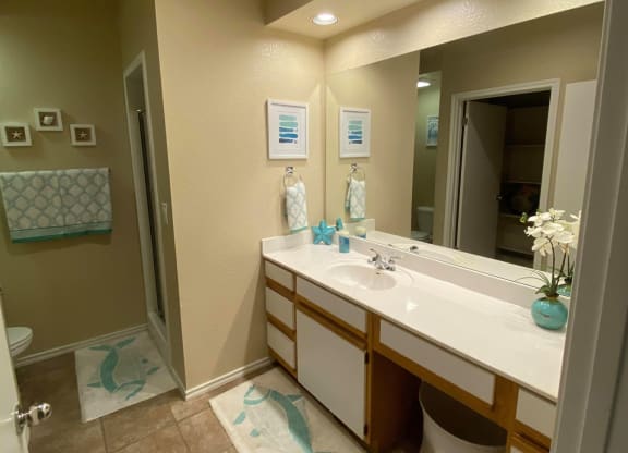 Luxurious Bathroom at Waters Edge Apartment Homes, Texas