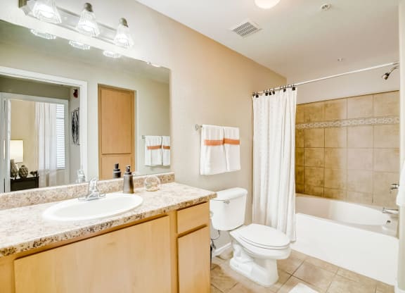 a bathroom with a sink toilet and a tub  at Adiamo Palm Valley, Goodyear