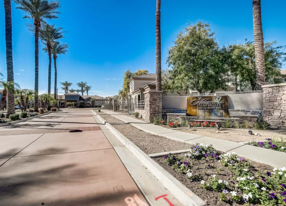 a sidewalk in front of a building with palm trees  at Adiamo Palm Valley, Goodyear, AZ