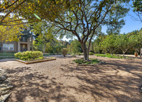 a park with a tree and a house in the background at Sonterra Apartment Homes, Austin, 78726