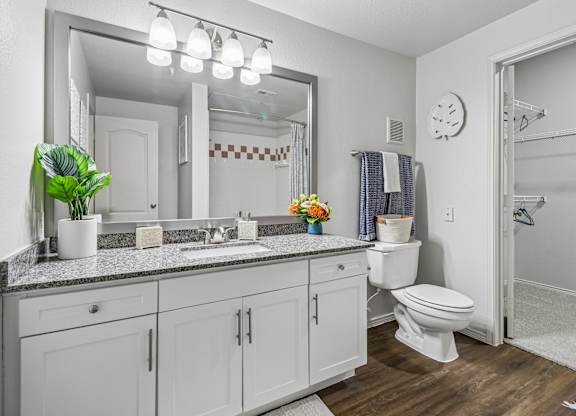 A bathroom with a white toilet and a large mirror above the sink.
