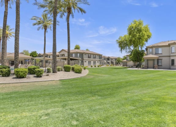 Lush landscaping throughout the property  at Adiamo Palm Valley, Goodyear, AZ