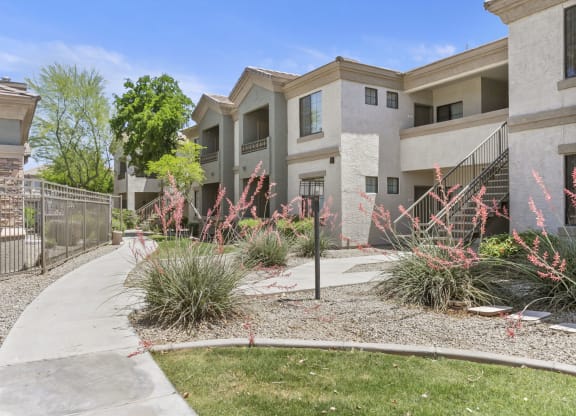 Lush landscaping throughout the property  at Adiamo Palm Valley, Goodyear, Arizona