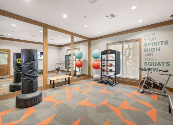 the gym at the colony apartments at Lakeline East Apartments, Cedar Park, 78613
